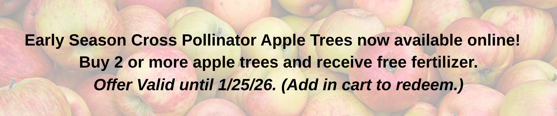 Untitled (1920 x 400 px).png