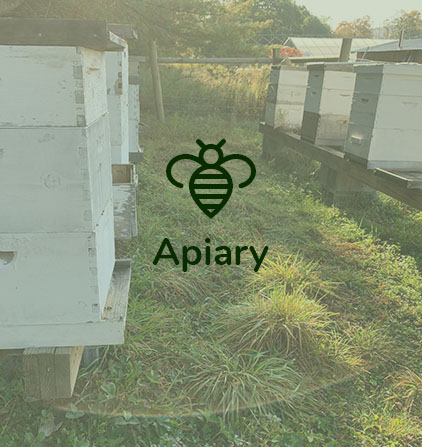 apiary.jpg