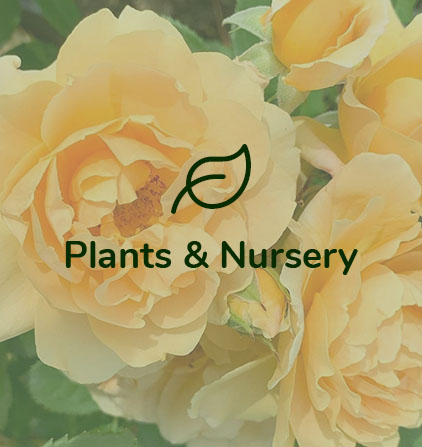 plants-nursery-min.jpg