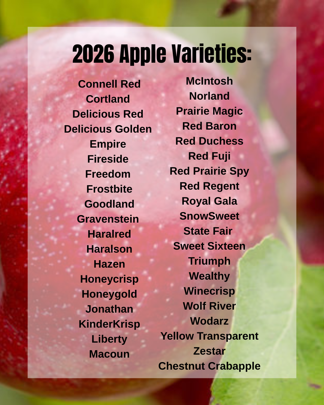 McIntosh Norland Prairie Magic Red Baron Red Duchess Red Fuji Red Prairie Spy.png